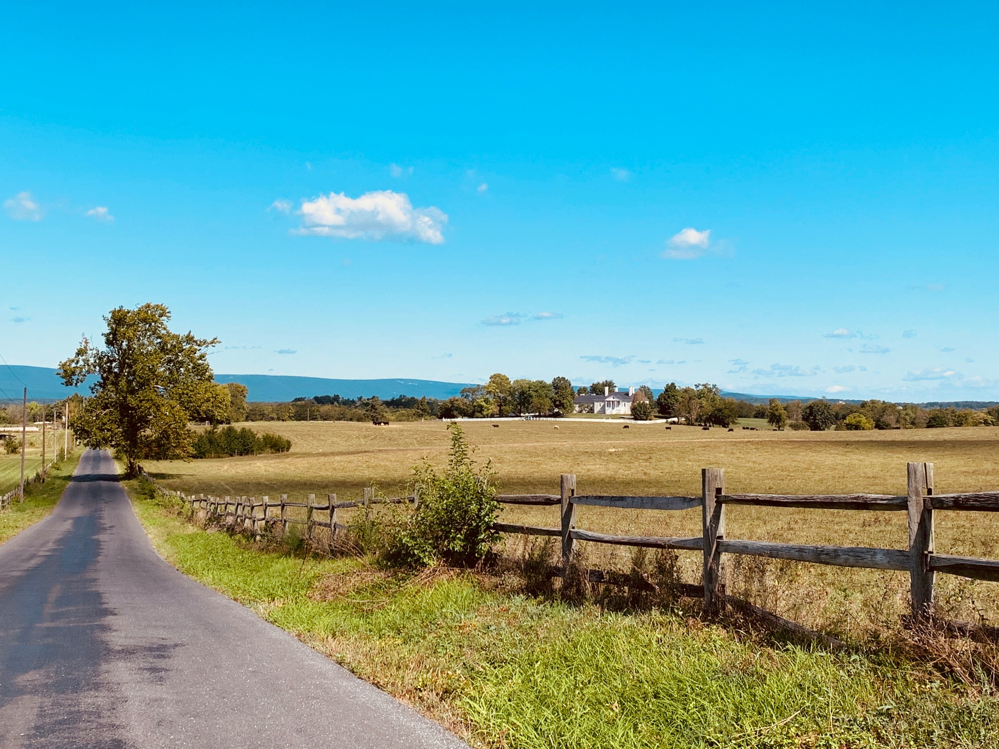 Country road beside fenced pasture and a distant country home