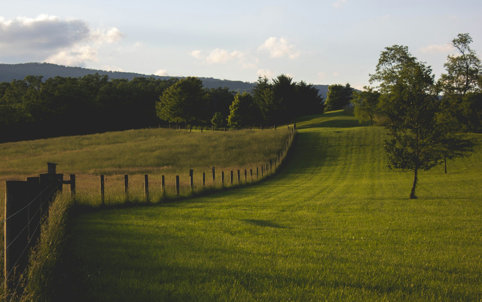A wooden fence through a green meadow bordered by mature trees
